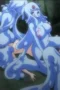 SAMPUL_MonMusu Quest! Episode 1