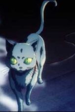 Mao Episode 17 Streaming Sub Indo: Petualangan Seru yang Tak Boleh Dilewatkan!